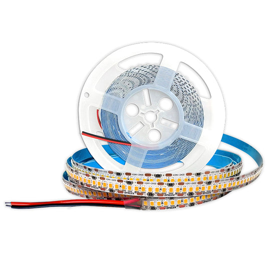 CINTA 240 LED 12V