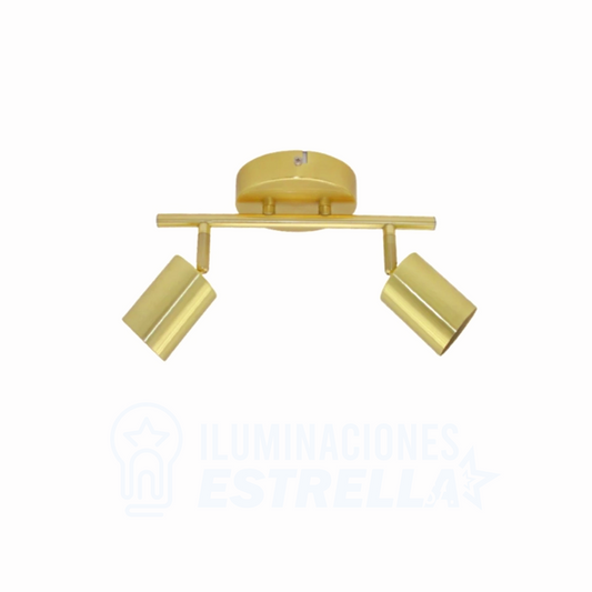 BARRA RIEL VEGONIA DORADO 2L